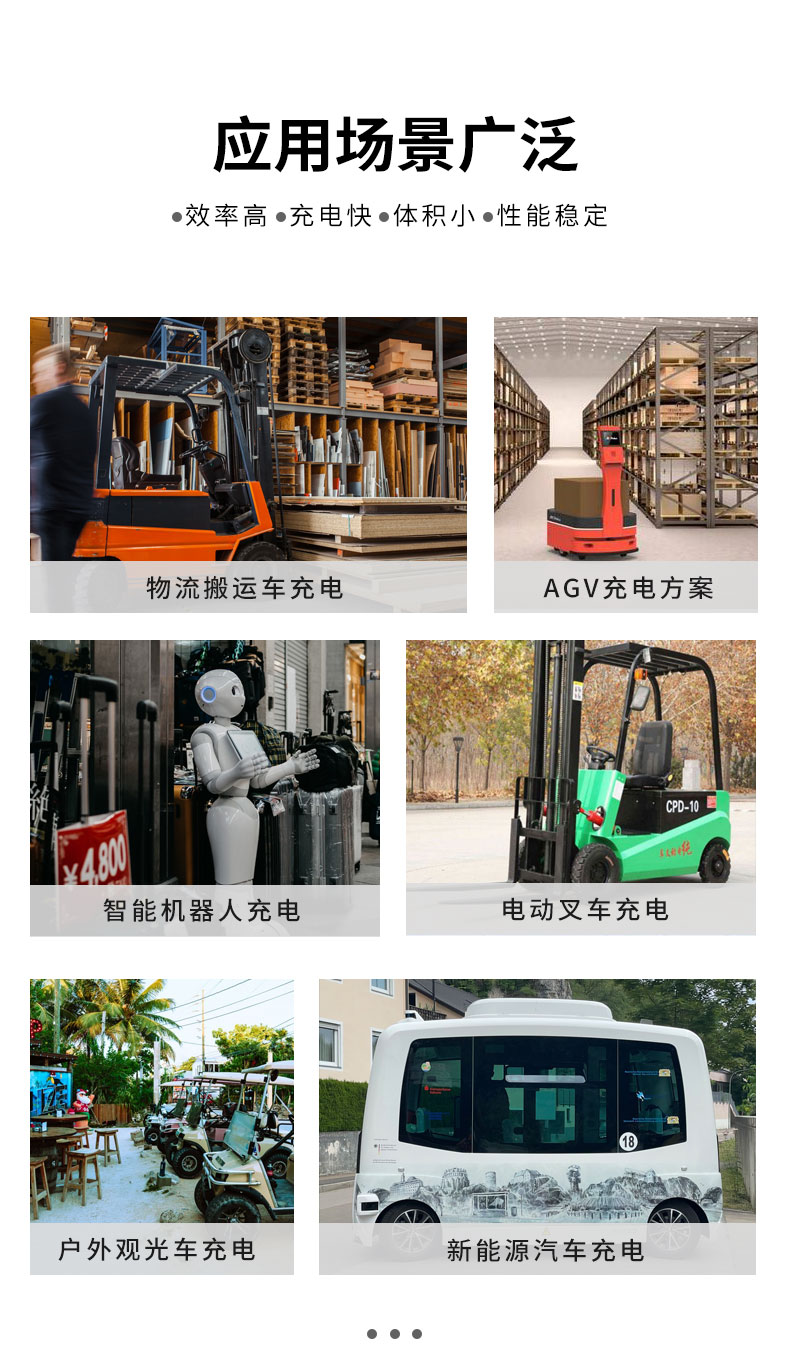 BSM-M 12V-100A(圖2)